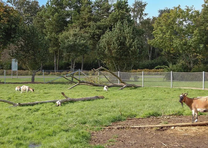 Prázdninový dům Gorgeous In With Sauna